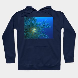 Red Sea Coral Reef Hoodie